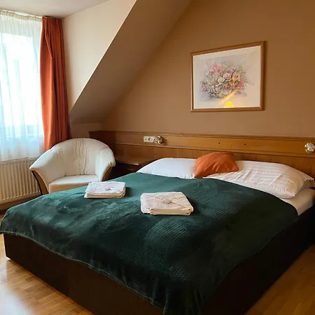 Wagner Vendegudvar Panzio ホテル ソンバトヘイ