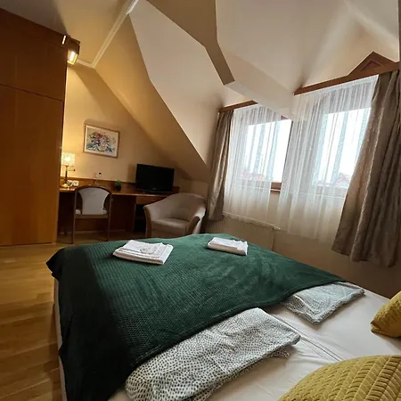 Wagner Vendegudvar Panzio 3* 솜버트헤이