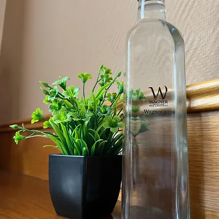 Wagner Vendegudvar Panzio 3* ソンバトヘイ