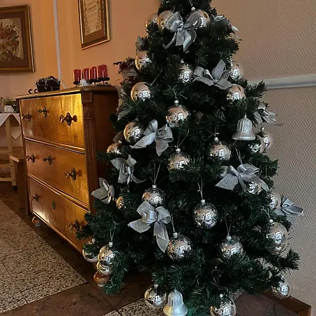 Wagner Vendegudvar Panzio ホテル ソンバトヘイ