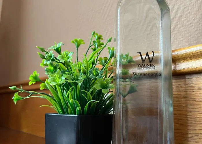 Wagner Vendegudvar Panzio 3* Szombathely